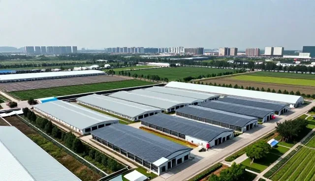 直播运营设备选型中需关注的五大核心要素